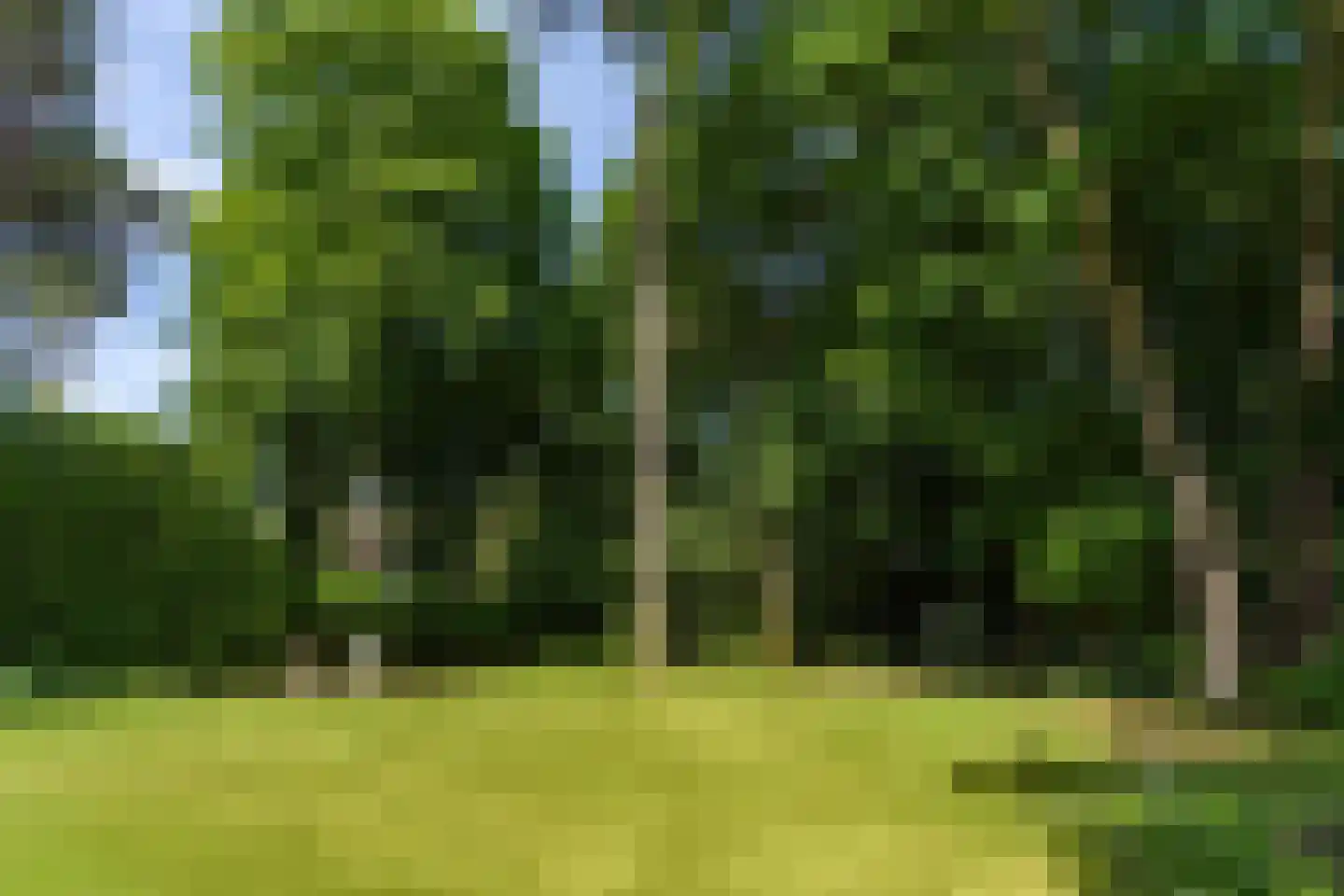 Soestdijkseweg Noord 325 A Bilthoven thumbnail 46