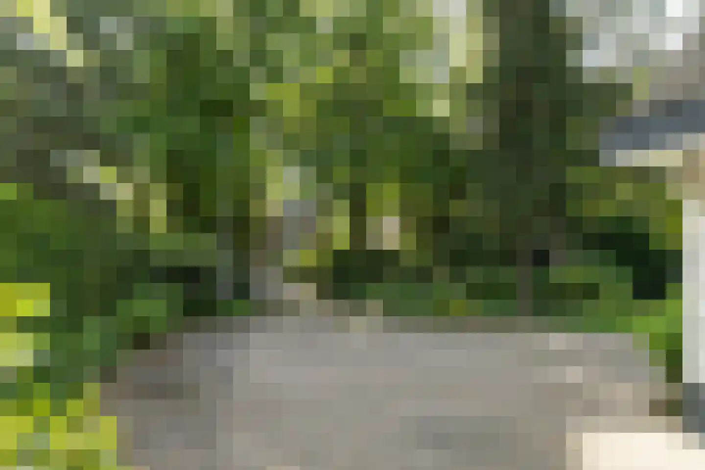 Soestdijkseweg Noord 325 A Bilthoven thumbnail 60