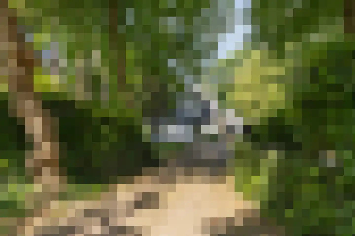 Soestdijkseweg Noord 325 A Bilthoven thumbnail 61
