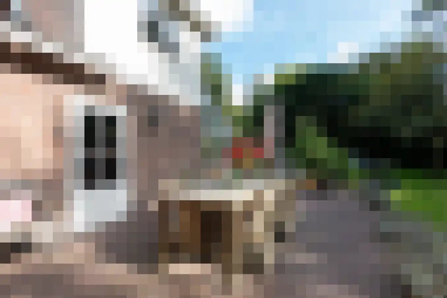 Soestdijkseweg Noord 326 Bilthoven thumbnail 30
