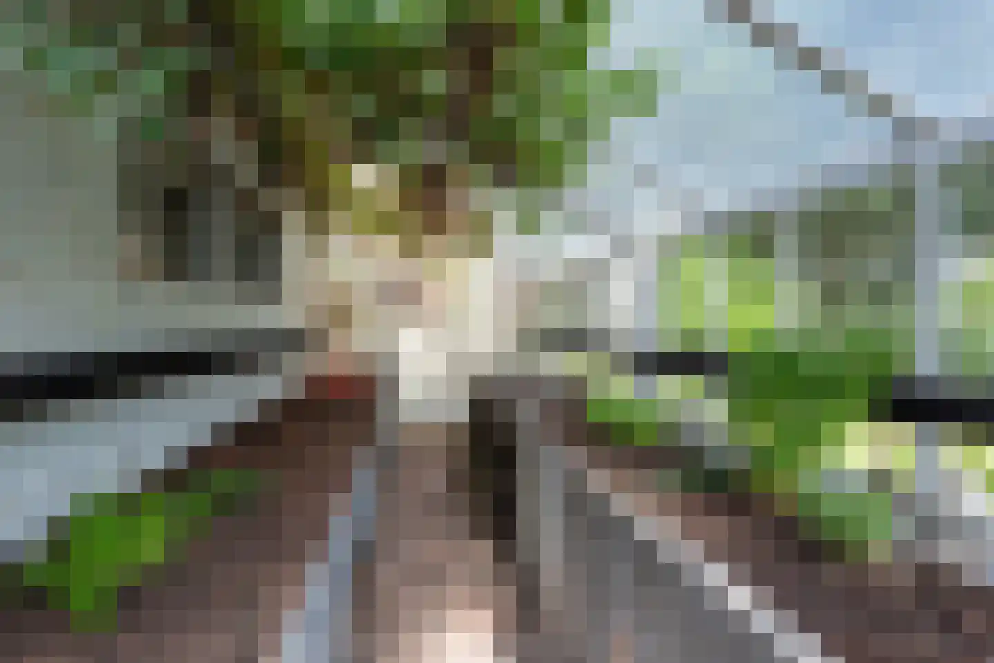 Soestdijkseweg Noord 326 Bilthoven thumbnail 33