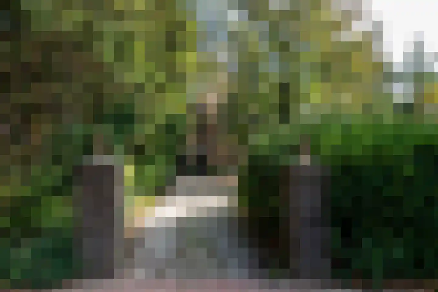 Soestdijkseweg Noord 326 Bilthoven thumbnail 4