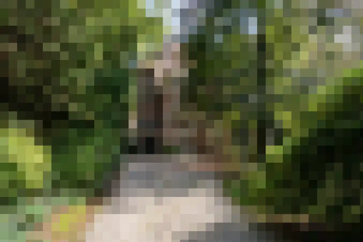 Soestdijkseweg Noord 326 Bilthoven thumbnail 5