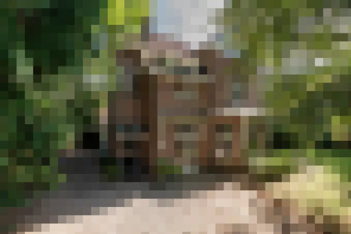 Soestdijkseweg Noord 326 Bilthoven thumbnail 7