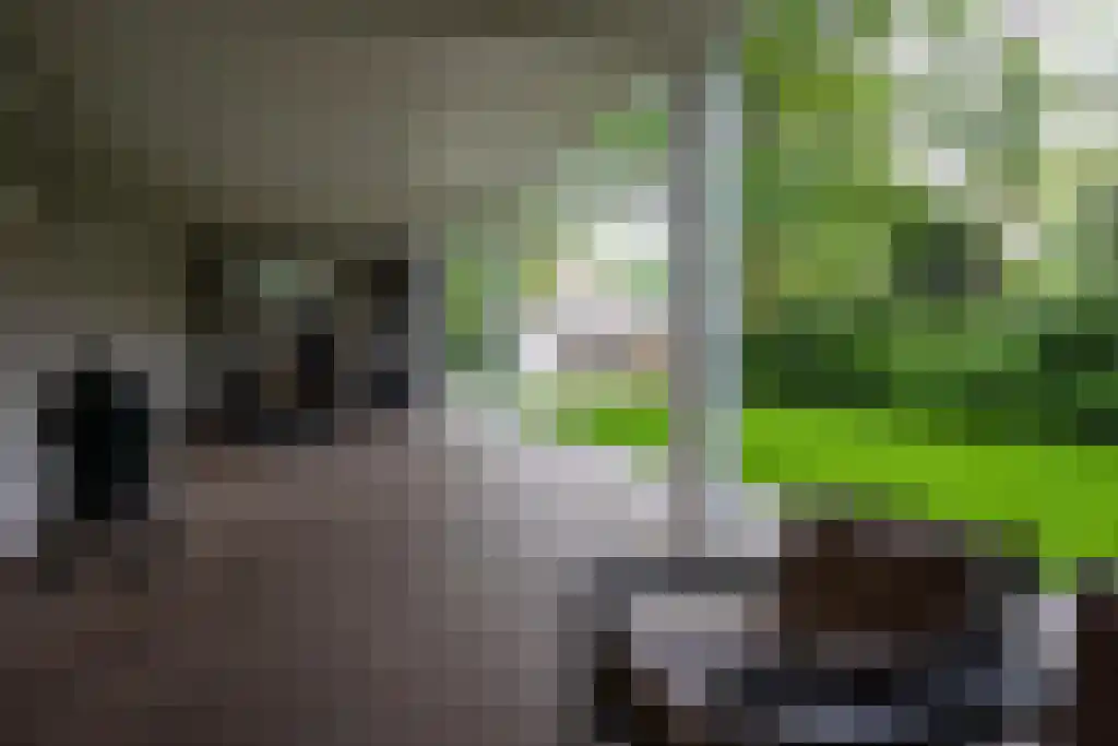 Soestdijkseweg Noord 328 Bilthoven thumbnail 30