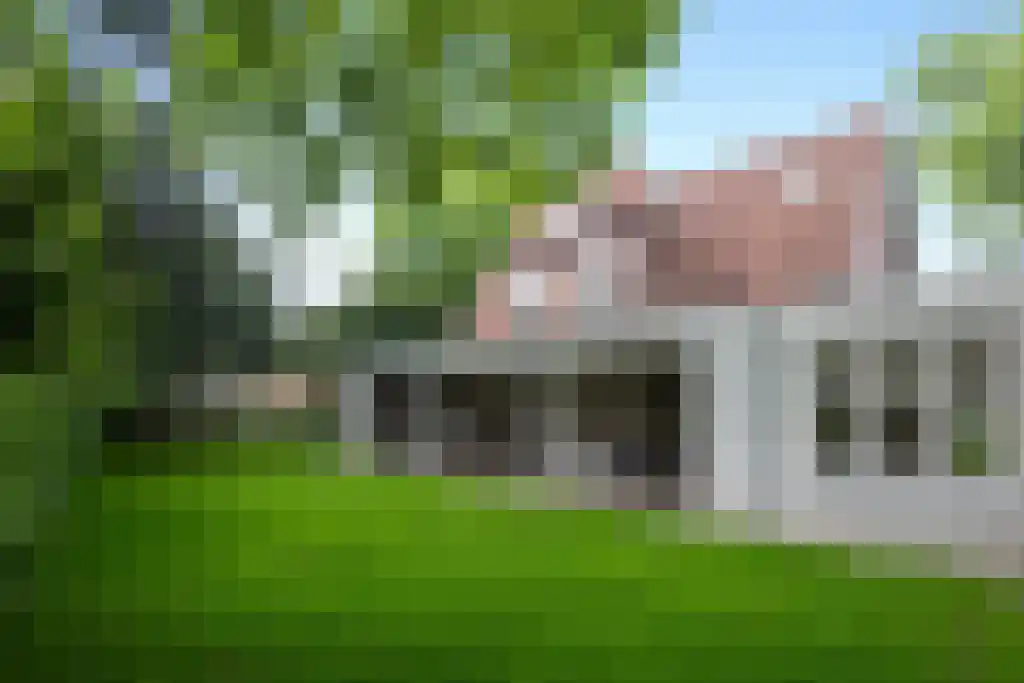 Soestdijkseweg Noord 328 Bilthoven thumbnail 32