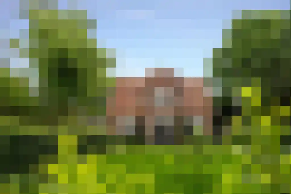 Soestdijkseweg Noord 328 Bilthoven thumbnail 34