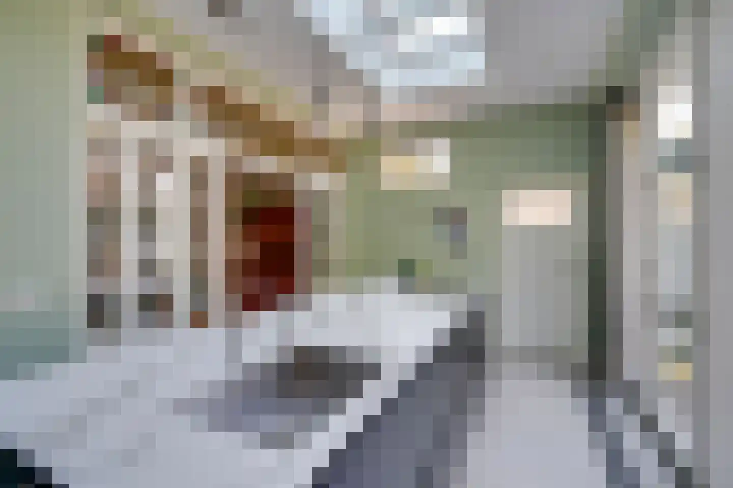 Soestdijkseweg Noord 337 Bilthoven thumbnail 17