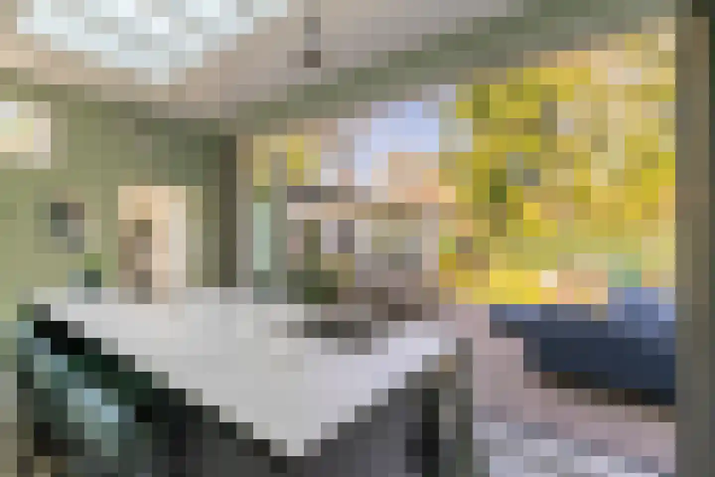 Soestdijkseweg Noord 337 Bilthoven thumbnail 19