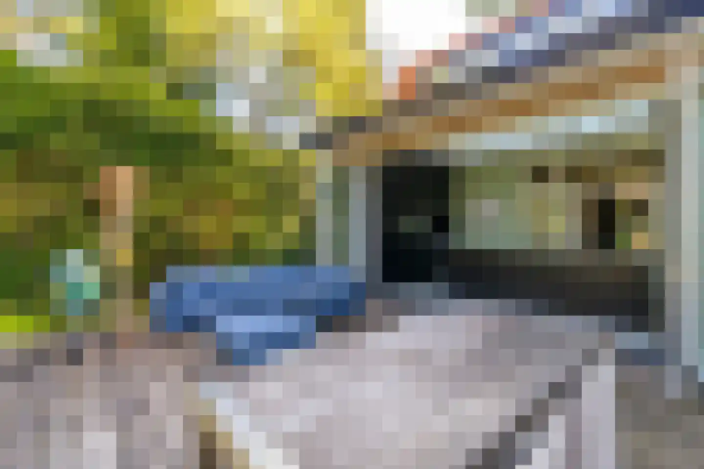 Soestdijkseweg Noord 337 Bilthoven thumbnail 21