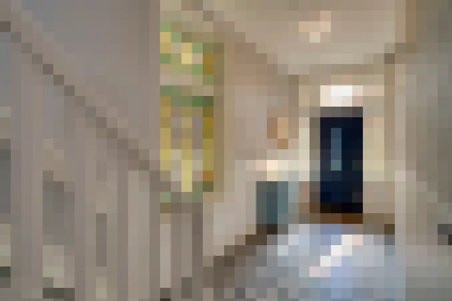Soestdijkseweg Noord 337 Bilthoven thumbnail 6