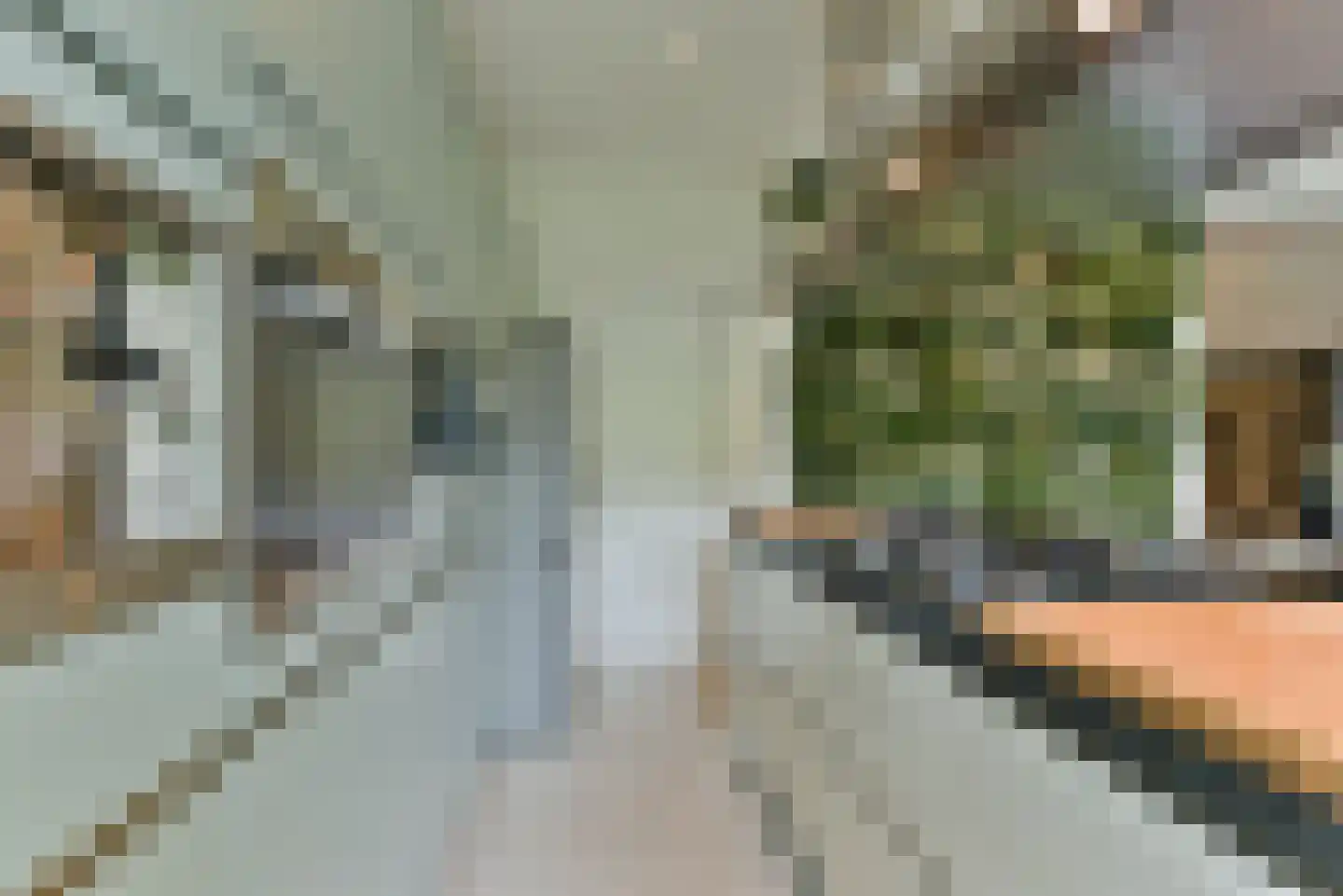 Soestdijkseweg Noord 343 Bilthoven thumbnail 15