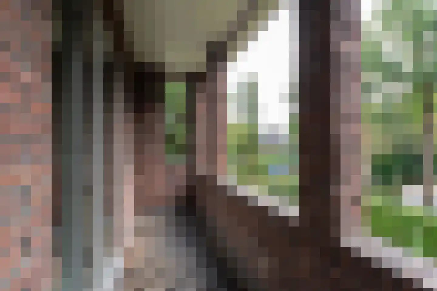 Soestdijkseweg Noord 343 Bilthoven thumbnail 37