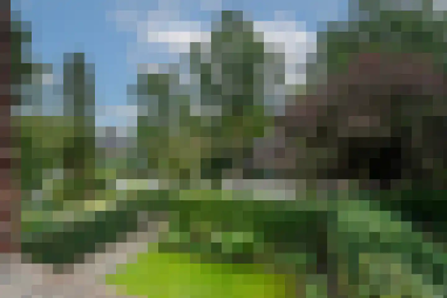Soestdijkseweg Noord 343 Bilthoven thumbnail 38