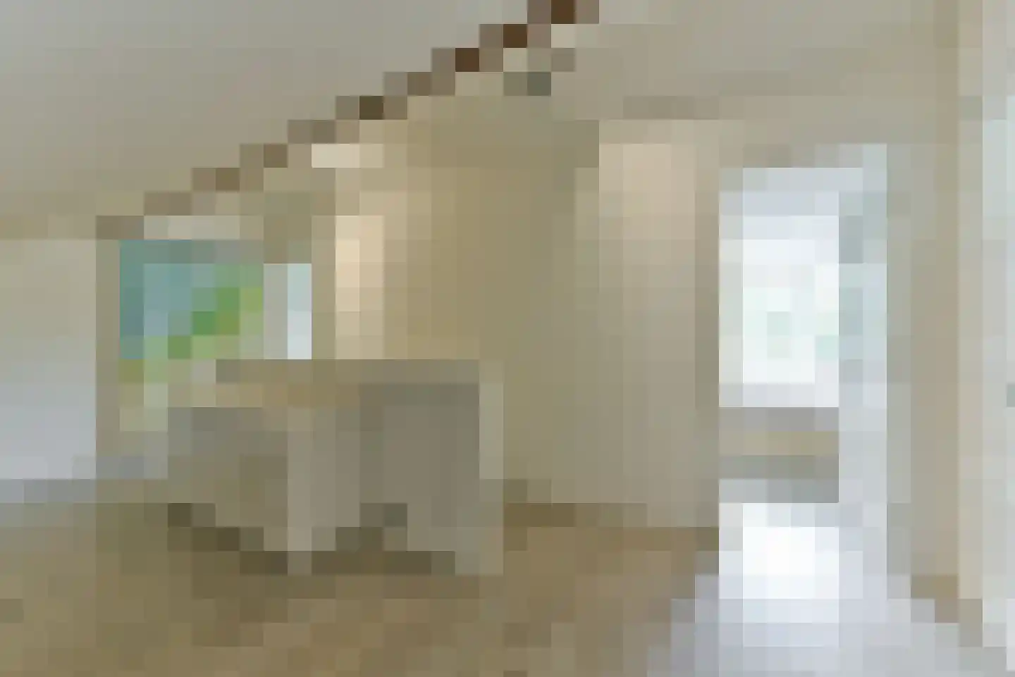 Soestdijkseweg Noord 343 Bilthoven thumbnail 46