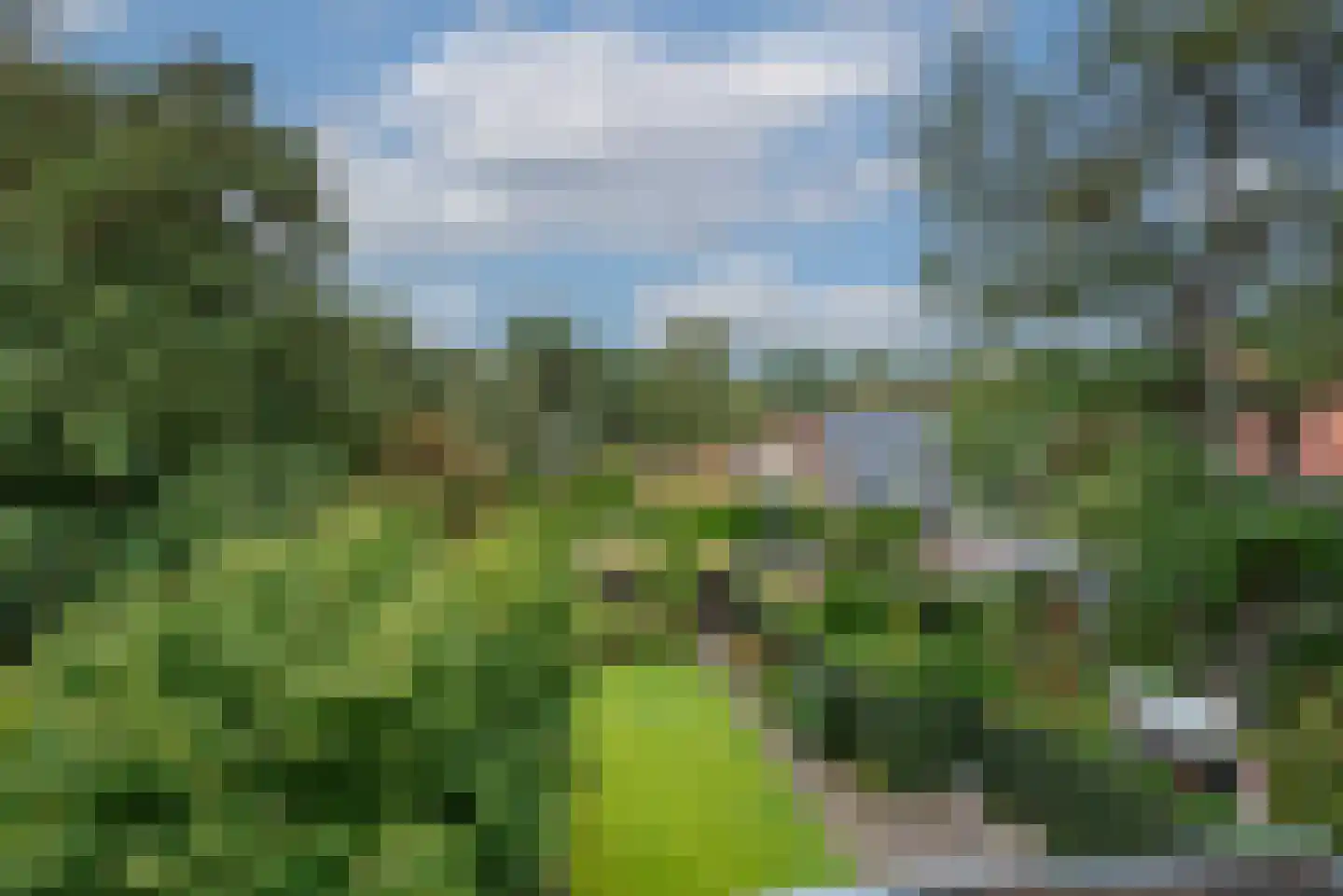 Soestdijkseweg Noord 343 Bilthoven thumbnail 50