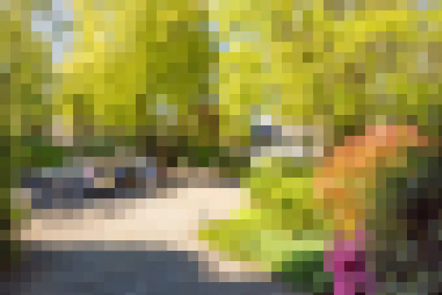Soestdijkseweg Noord 363 A Bilthoven thumbnail 27