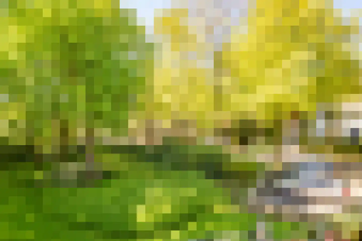 Soestdijkseweg Noord 363 A Bilthoven thumbnail 29