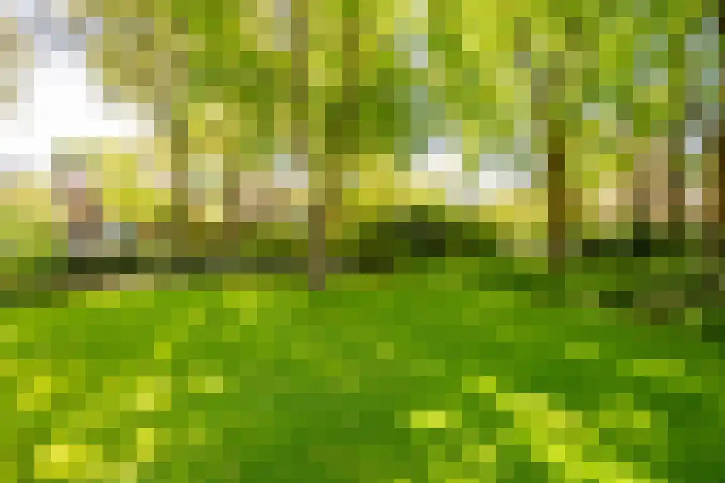 Soestdijkseweg Noord 363 A Bilthoven thumbnail 33