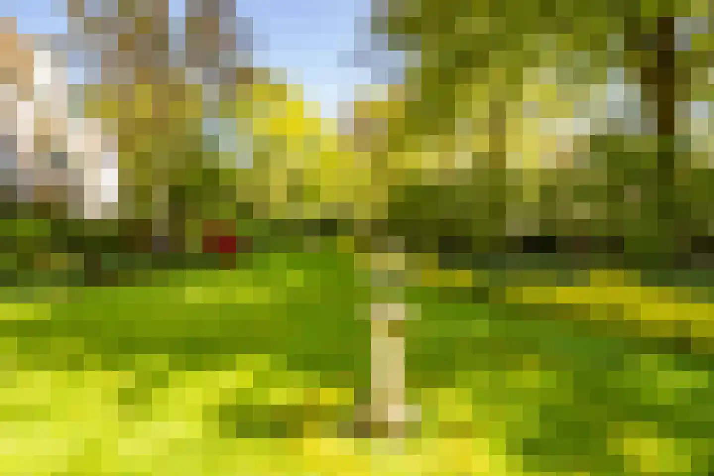 Soestdijkseweg Noord 363 A Bilthoven thumbnail 34