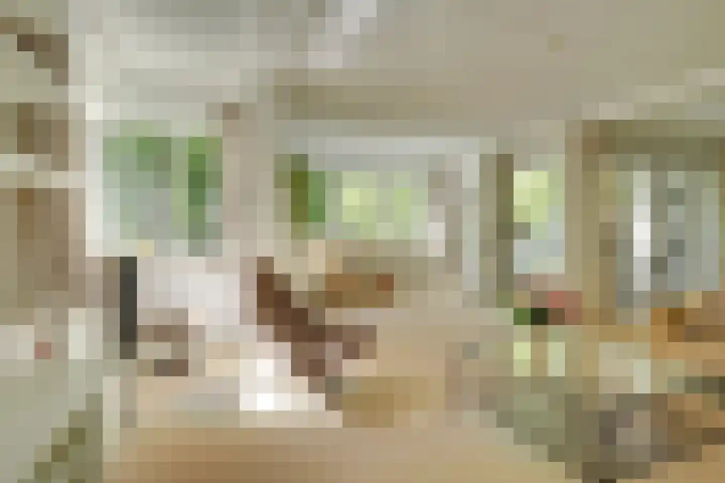 Soestdijkseweg Noord 363 A Bilthoven thumbnail 6