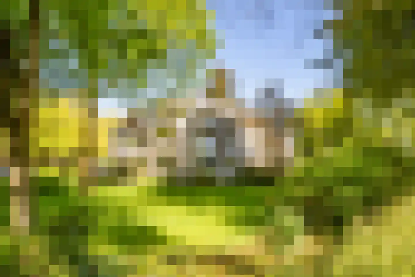 Soestdijkseweg Noord 363 G Bilthoven thumbnail 26