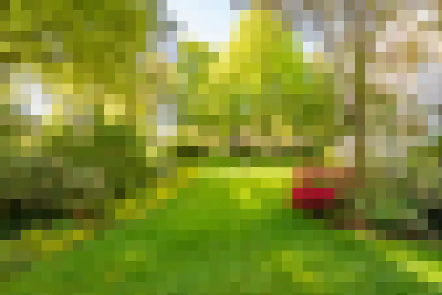 Soestdijkseweg Noord 363 G Bilthoven thumbnail 35