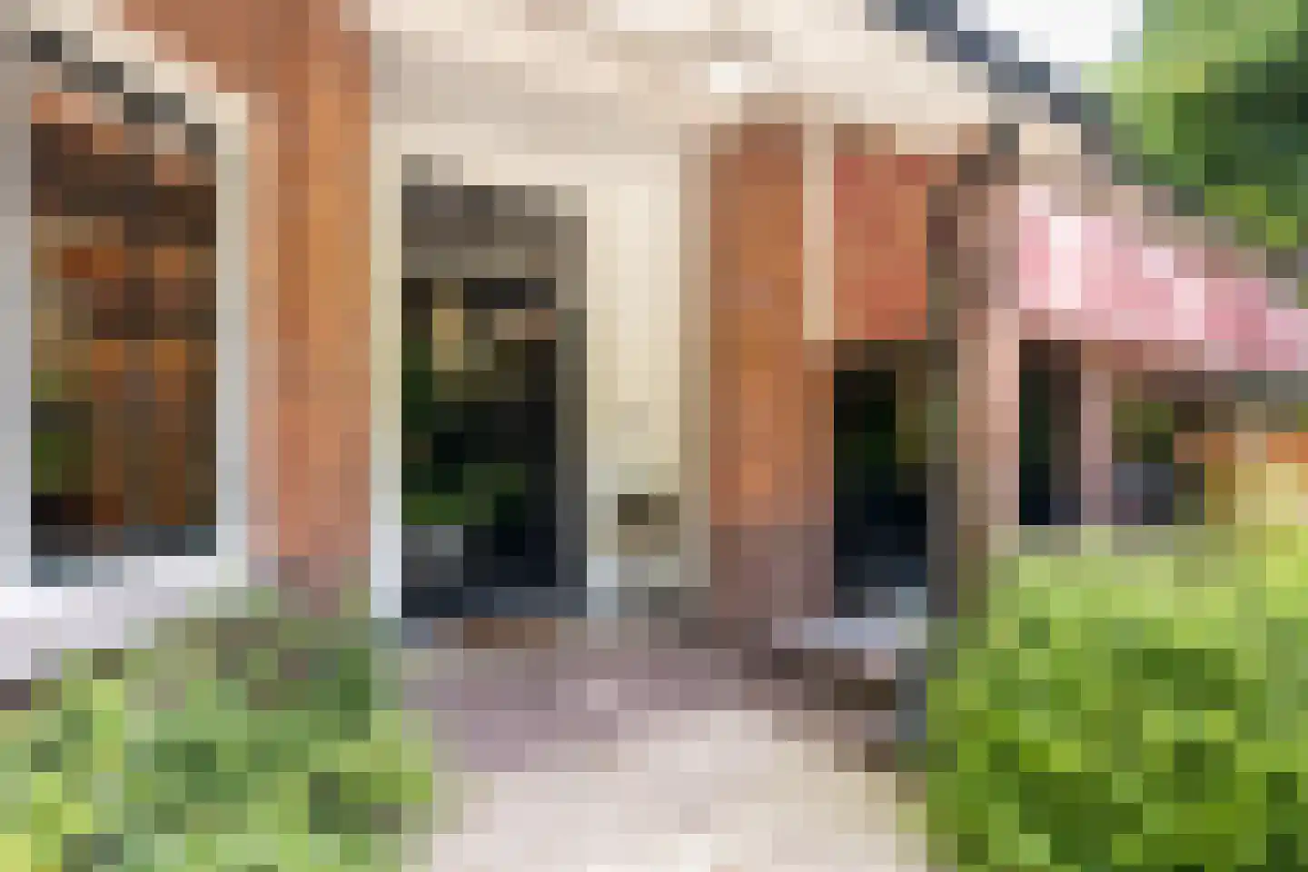 Soestdijkseweg Noord 390 Bilthoven thumbnail 10