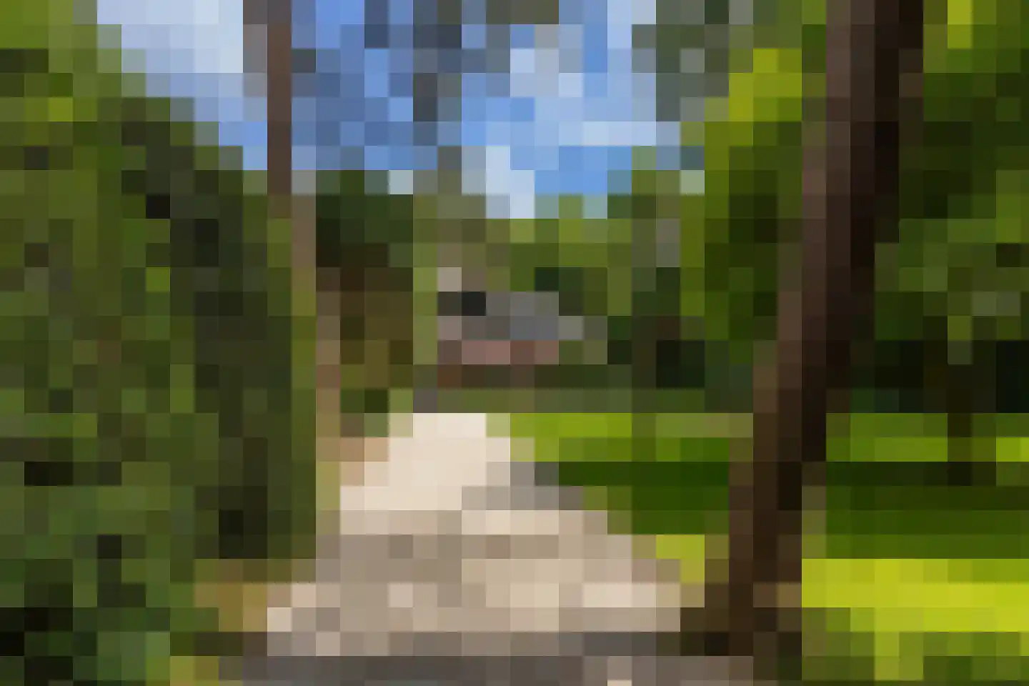 Soestdijkseweg Noord 390 Bilthoven thumbnail 4