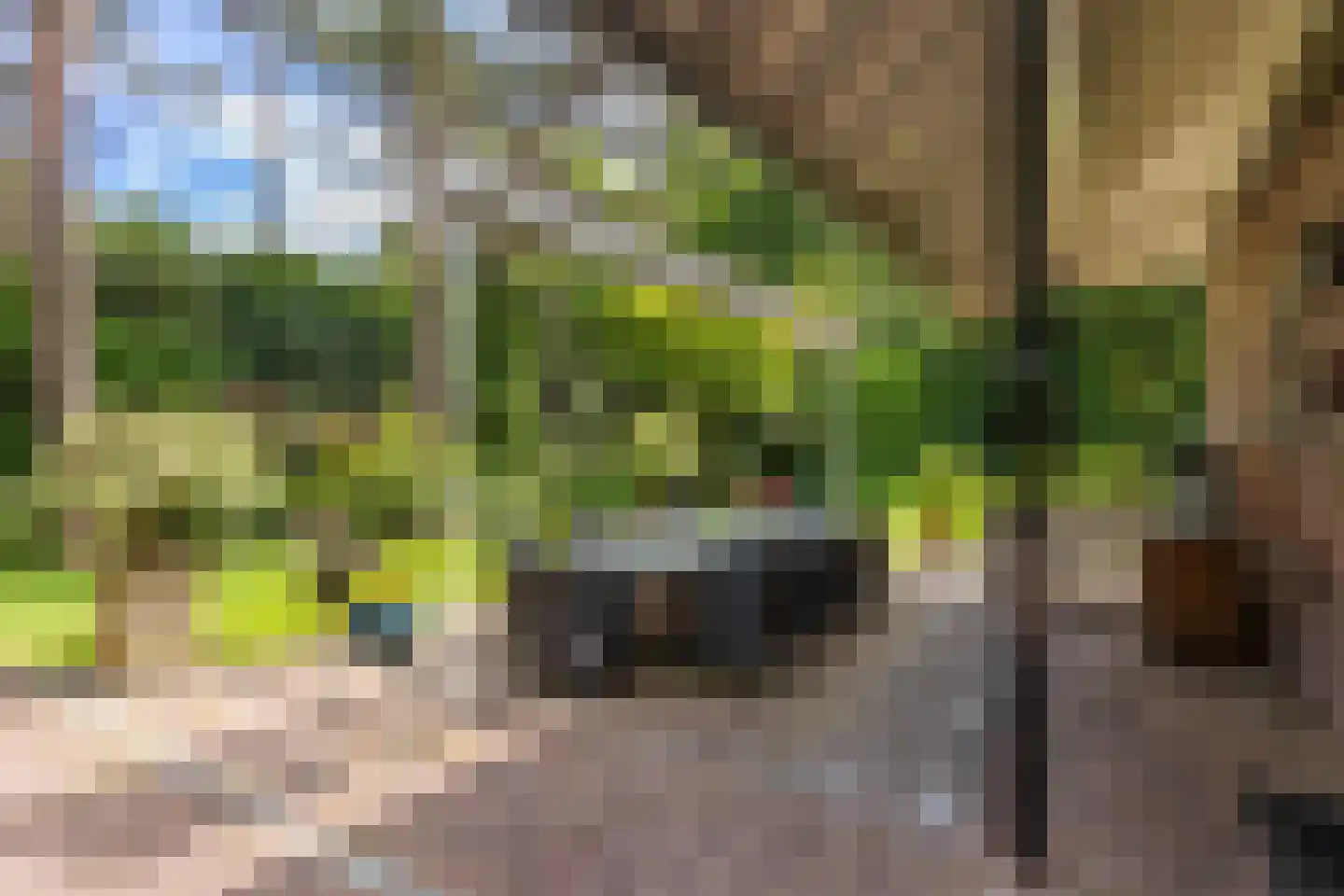 Soestdijkseweg Noord 390 Bilthoven thumbnail 49