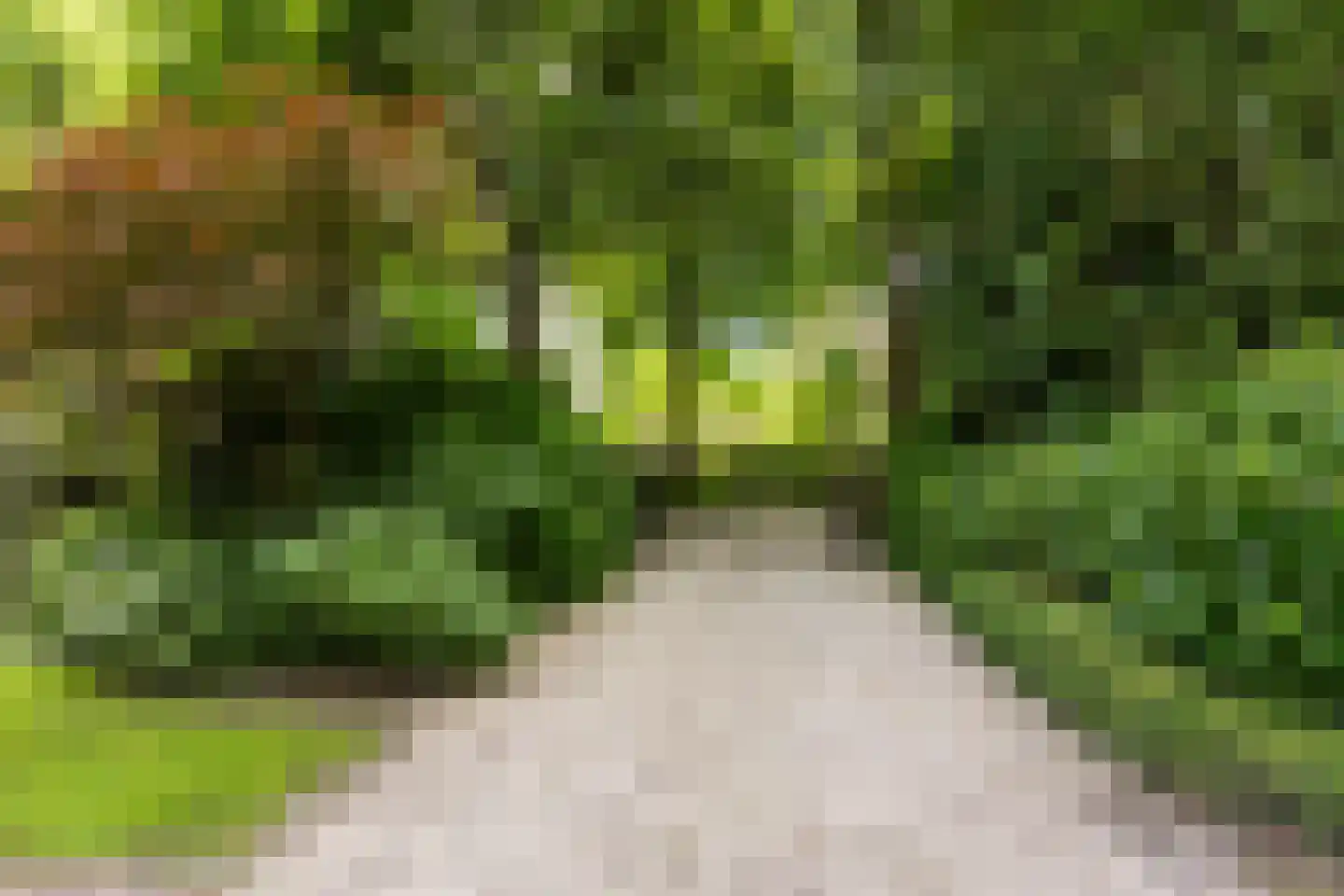 Soestdijkseweg Noord 390 Bilthoven thumbnail 8