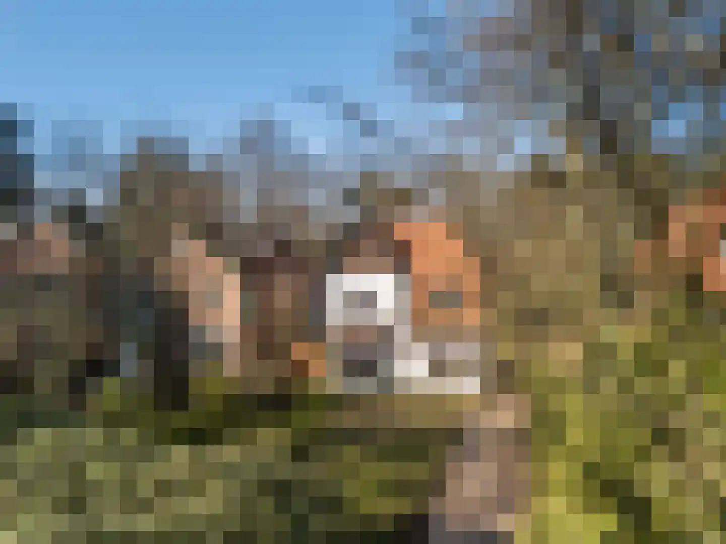 Soestdijkseweg Noord 391 Bilthoven thumbnail 54