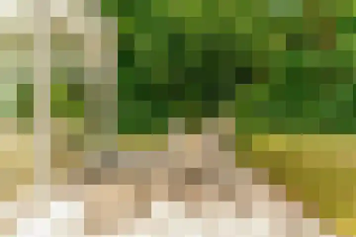 Soestdijkseweg Noord 398 Bilthoven thumbnail 37