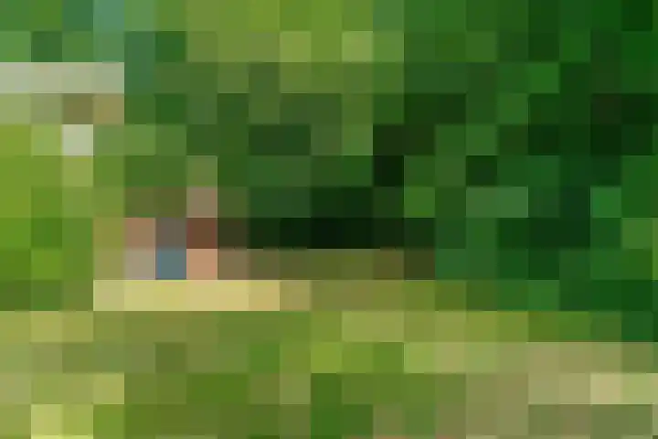 Soestdijkseweg Noord 398 Bilthoven thumbnail 38
