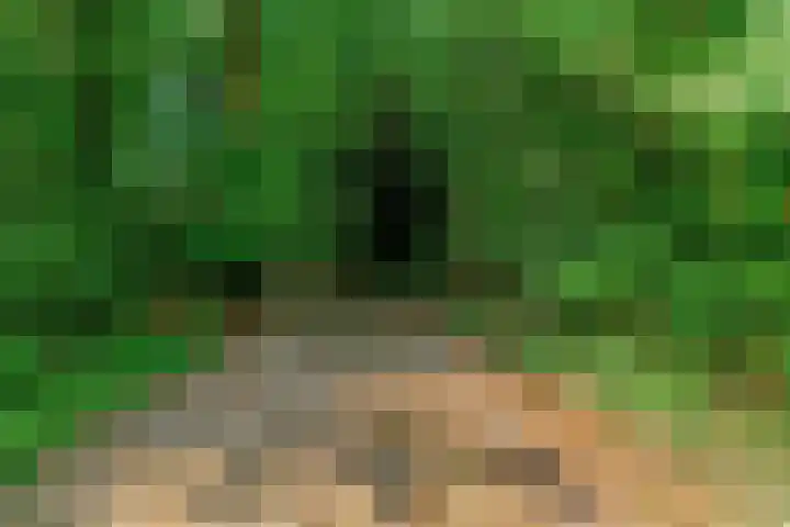 Soestdijkseweg Noord 398 Bilthoven thumbnail 41