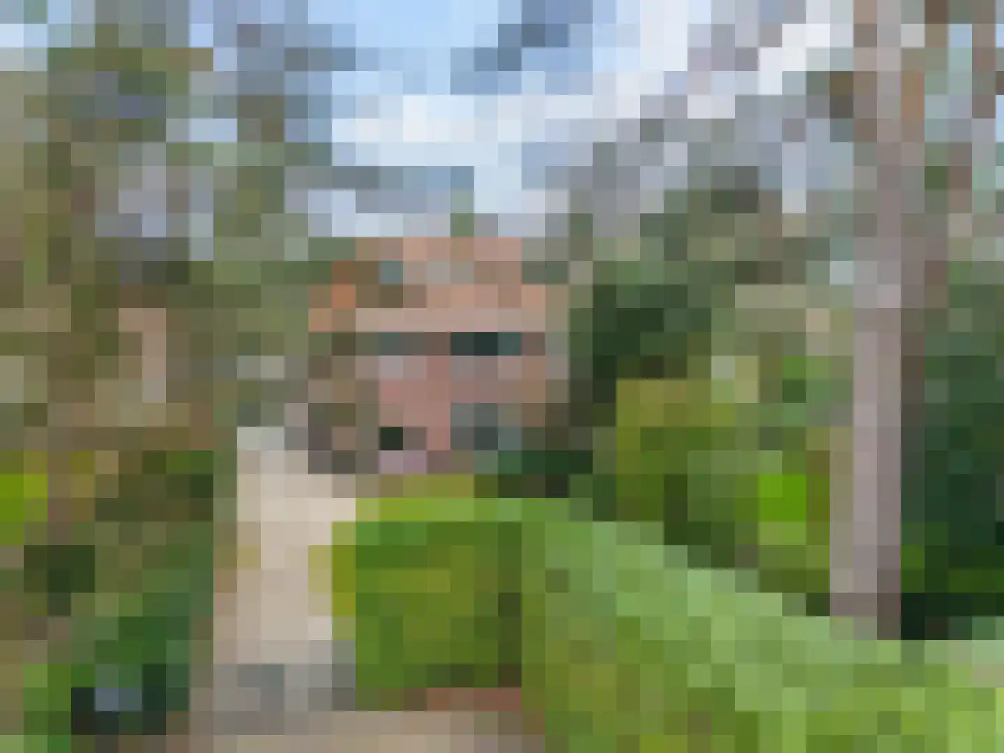 Soestdijkseweg Noord 407 Bilthoven thumbnail 4
