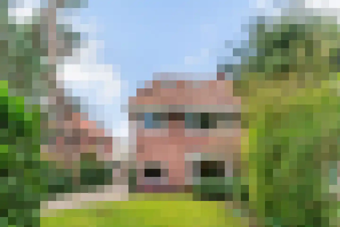 Soestdijkseweg Noord 407 Bilthoven thumbnail 6