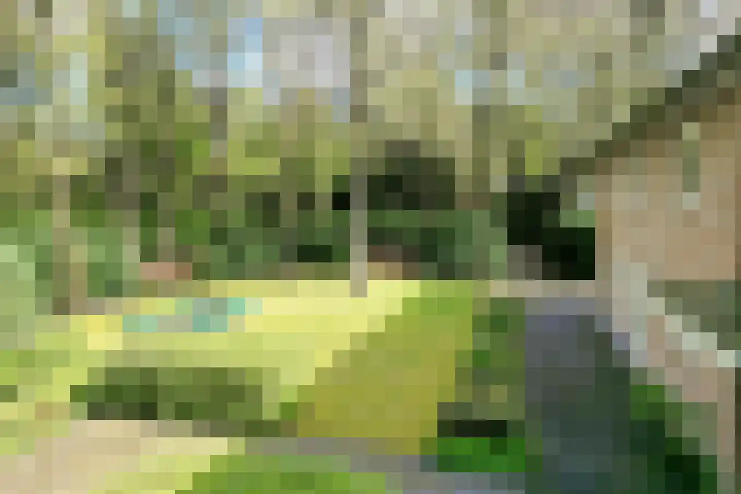 Soestdijkseweg Noord 422 Bilthoven thumbnail 10