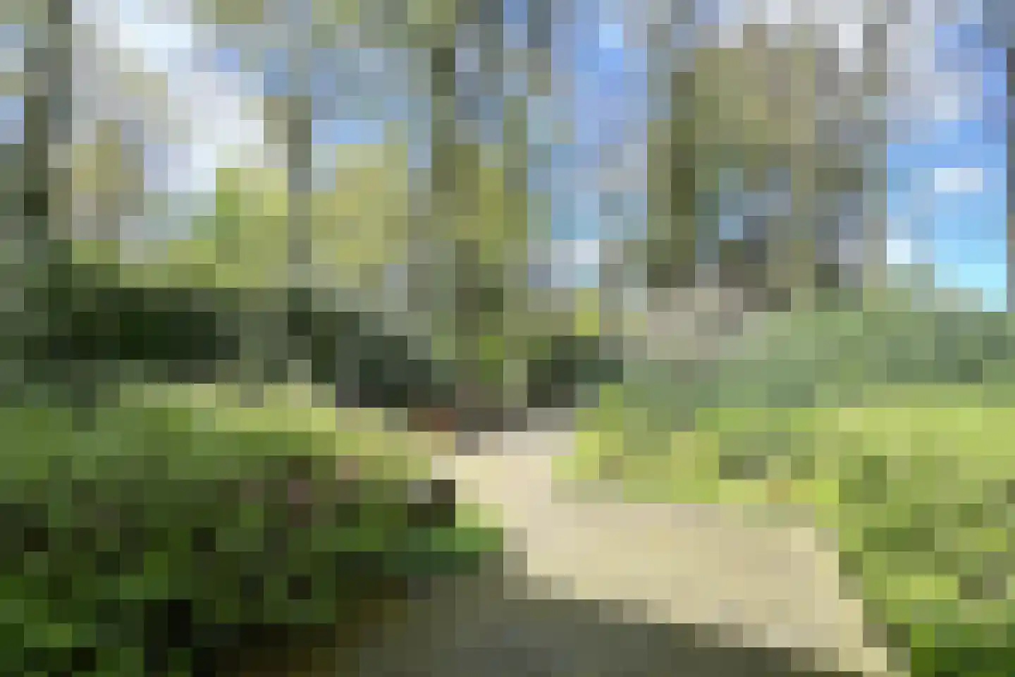 Soestdijkseweg Noord 422 Bilthoven thumbnail 12