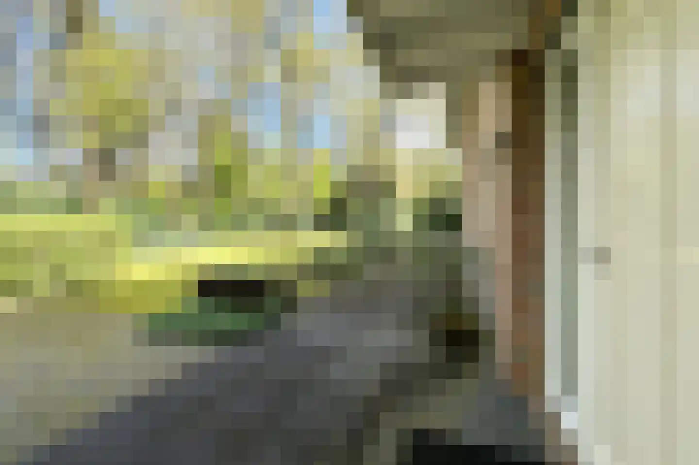 Soestdijkseweg Noord 422 Bilthoven thumbnail 14
