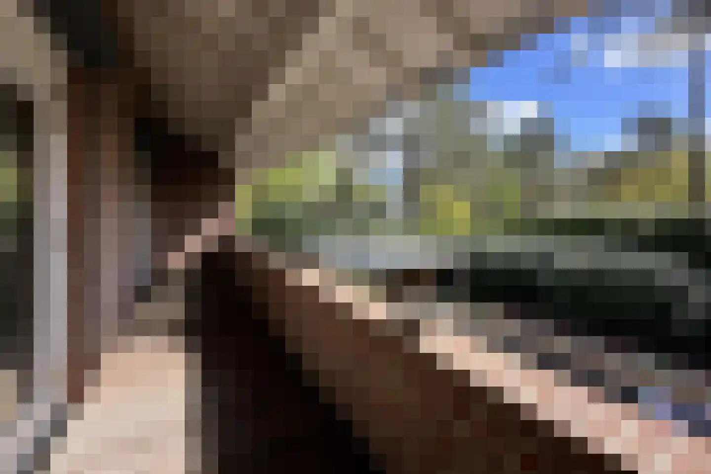 Soestdijkseweg Noord 422 Bilthoven thumbnail 37
