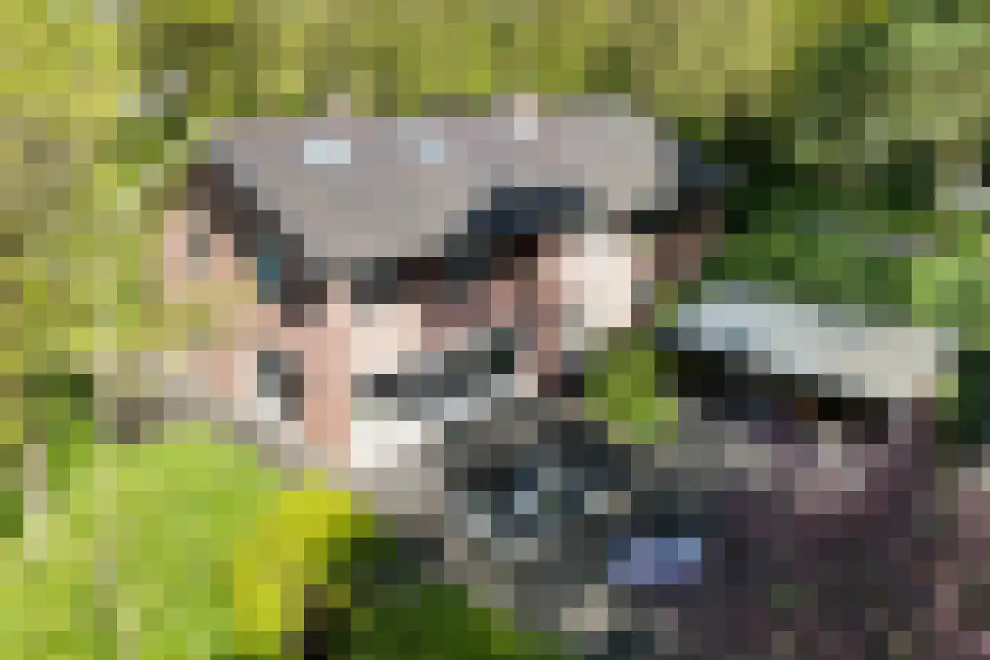 Soestdijkseweg Noord 422 Bilthoven thumbnail 4