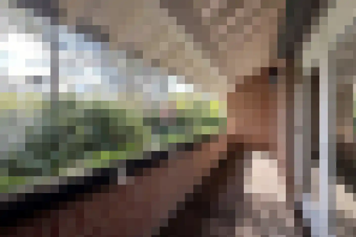 Soestdijkseweg Noord 422 Bilthoven thumbnail 40