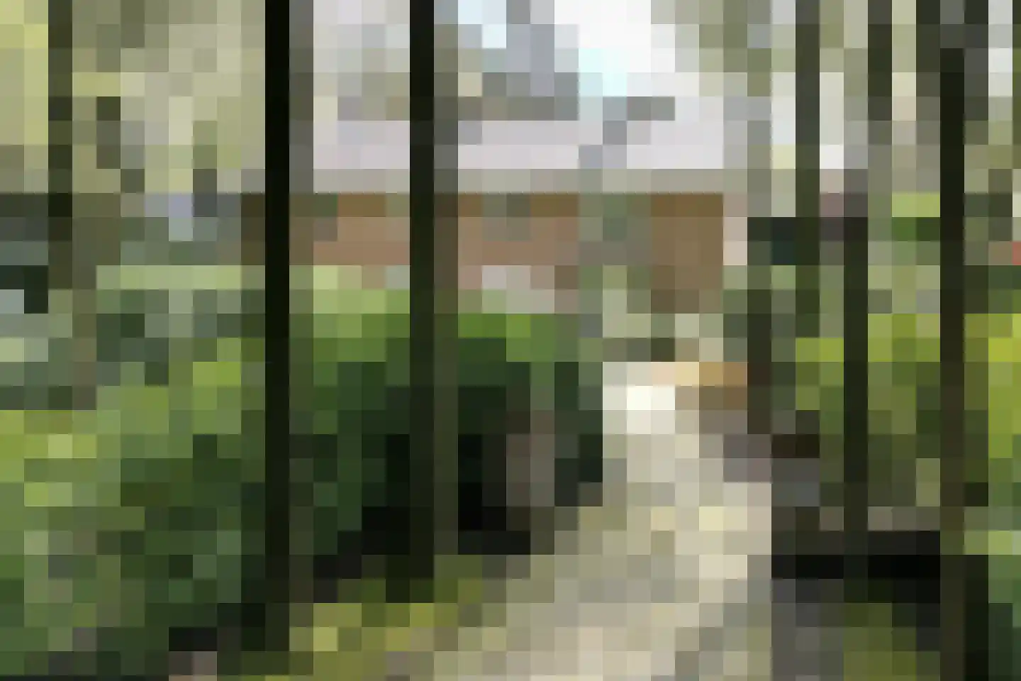 Soestdijkseweg Noord 422 Bilthoven thumbnail 6
