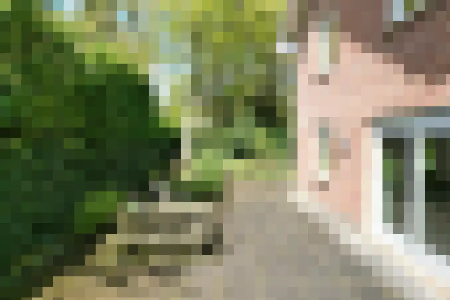 Soestdijkseweg Noord 422 Bilthoven thumbnail 65