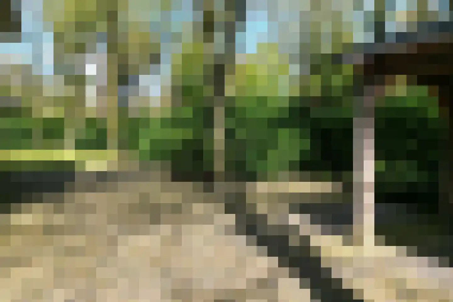 Soestdijkseweg Noord 422 Bilthoven thumbnail 66