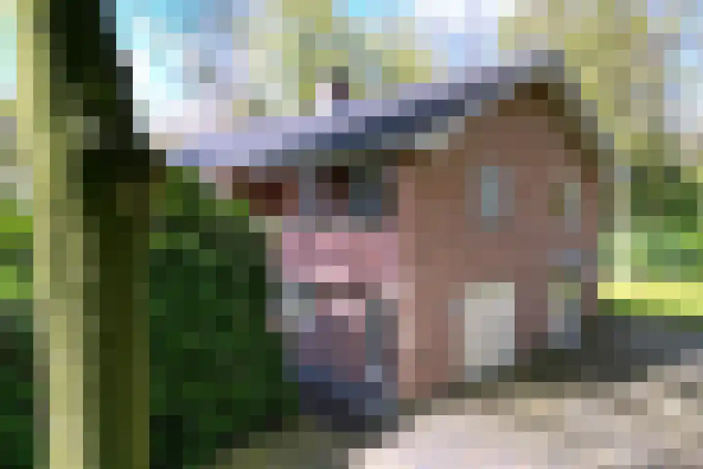 Soestdijkseweg Noord 422 Bilthoven thumbnail 67