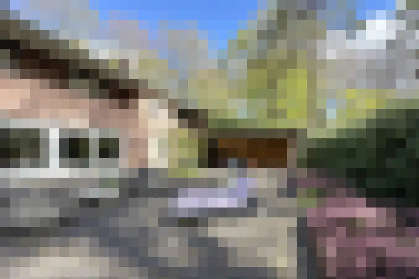 Soestdijkseweg Noord 422 Bilthoven thumbnail 69