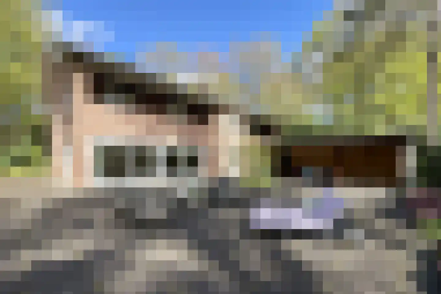 Soestdijkseweg Noord 422 Bilthoven thumbnail 70