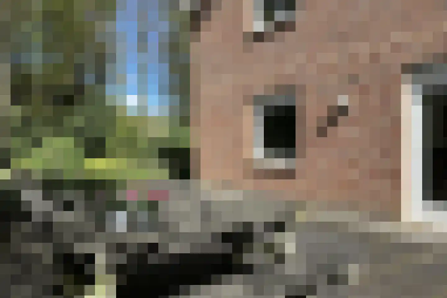 Soestdijkseweg Noord 422 Bilthoven thumbnail 74